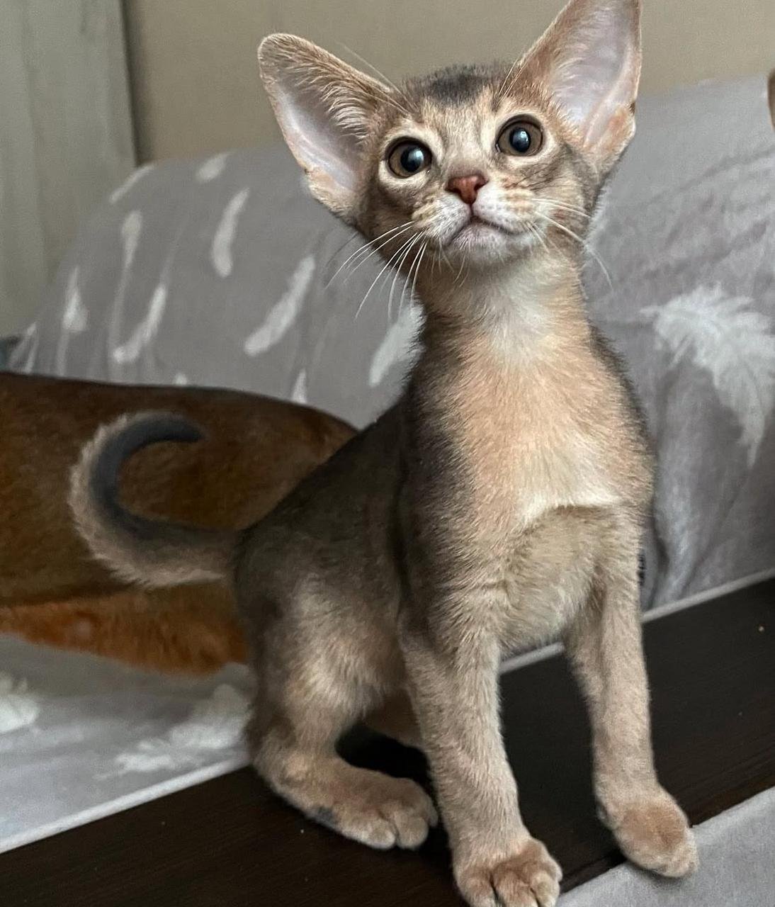 WhatsApp Image 2025-10-03 at 22.39.34_b9fe1576