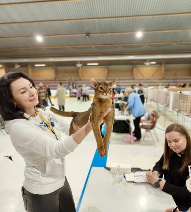 WhatsApp Image 2025 10 03 at 22.41.09 76d500cc