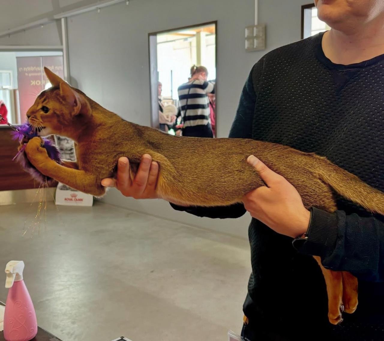 WhatsApp Image 2025 10 03 at 22.41.10 cc3d1cf0