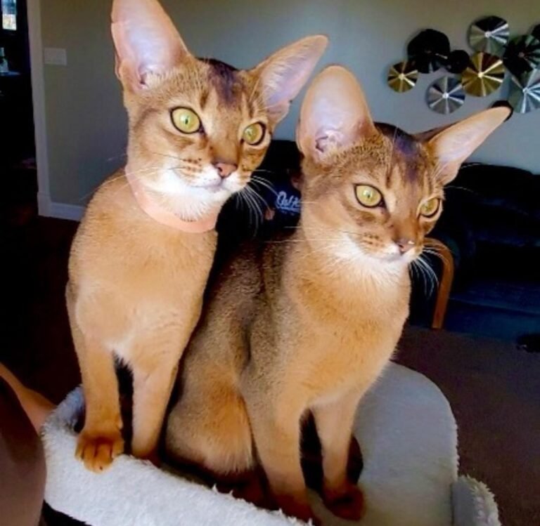 WhatsApp Image 2025 10 03 at 22.41.13 cb3dbf95